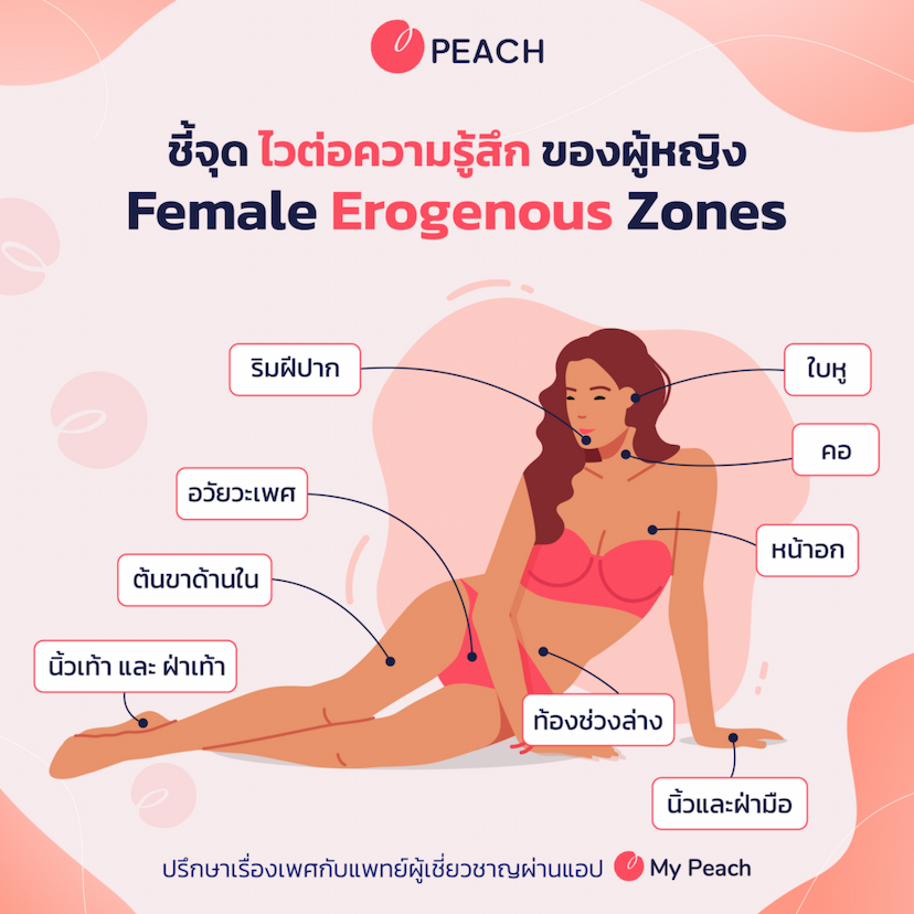 จุดที่ไวต่อความรู้สึก ช่วยให้ผู้หญิงเสร็จ Female Erogenous Zones
